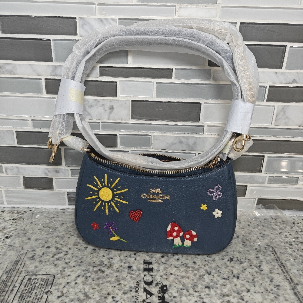 Coach Teri Mini Crossbody Bag With Embroidery